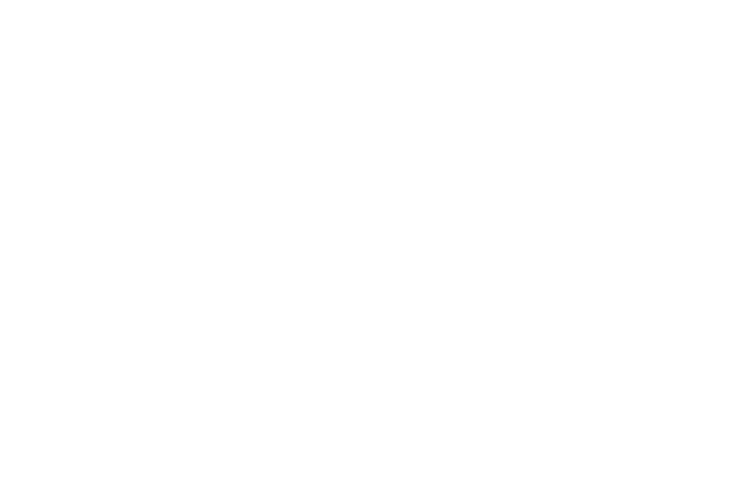 Professional technology and knowhow is the core asset of Microfriend